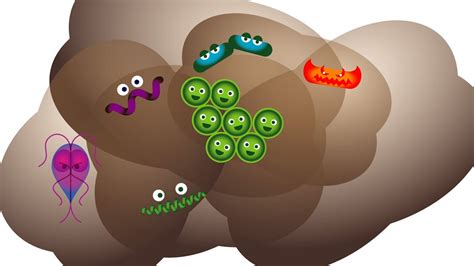 The Good, the Bad and the Ugly of Poop | Science Spotlight - YouTube