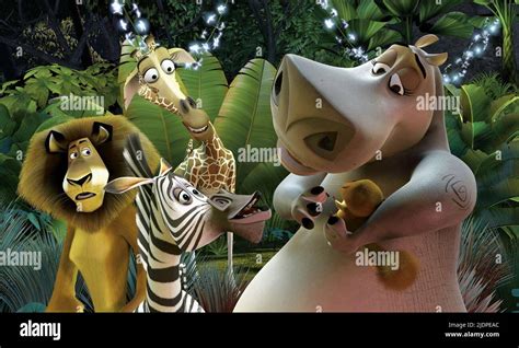 LION,ZEBRA,GIRAFFE,HIPPO, MADAGASCAR, 2005 Stock Photo - Alamy