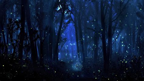 Mystical Forest, Mystical Laptop HD wallpaper | Pxfuel