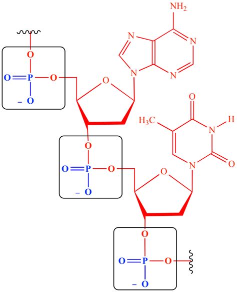 Illustrated Glossary of Organic Chemistry - Phaosphate ester ...