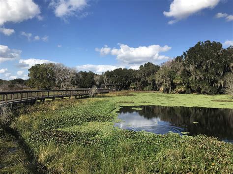 Alachua Sink – One of Florida’s Largest Sinkholes – nomadlife