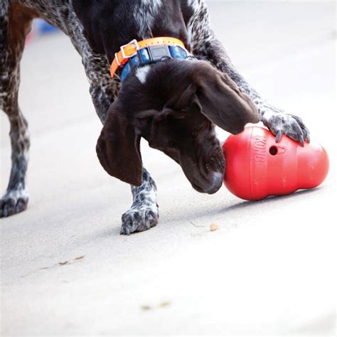 Kong Wobbler® Interactive Feeder & Treat Dispenser | Hollywood Feed