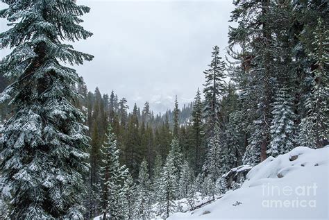 Kings Canyon winter scene 1-7885 Photograph by Stephen Parker | Fine ...