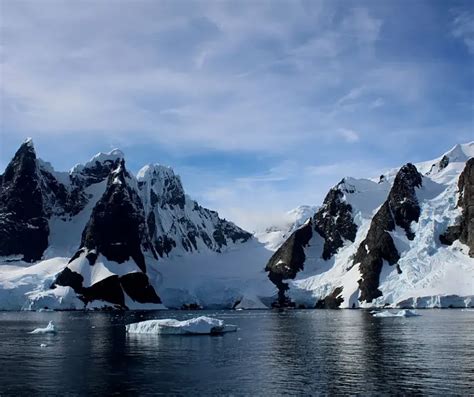 16 Travel Quotes About Antarctica: Tough & Beautiful