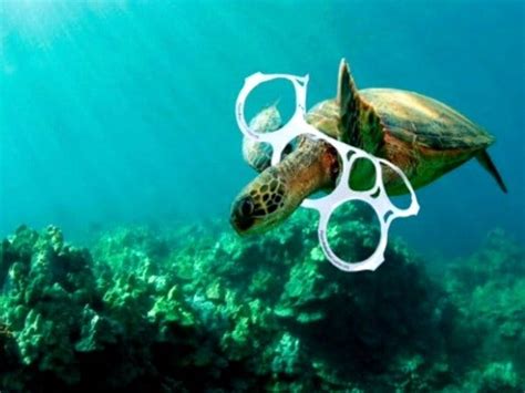 Shocking plastic pollution: research shows that a piece of plastic is ...