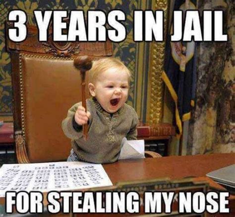 51+ Jail Memes and Prison Memes Reviewed [2022 Edition] - Healing Law ...