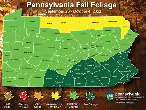 ‘A very colorful autumn display’: Where to see fall foliage in Pa. this ...