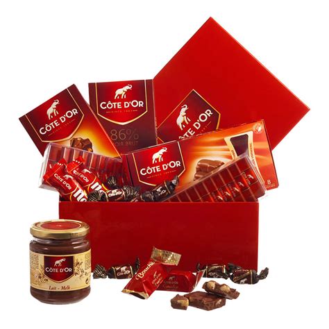 Belgian Chocolate Gift Box - Delivery in Germany by GiftsForEurope