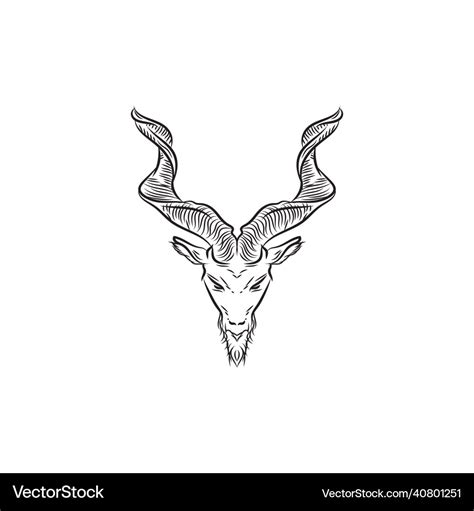 Markhor head animal logo design hand drawn Vector Image