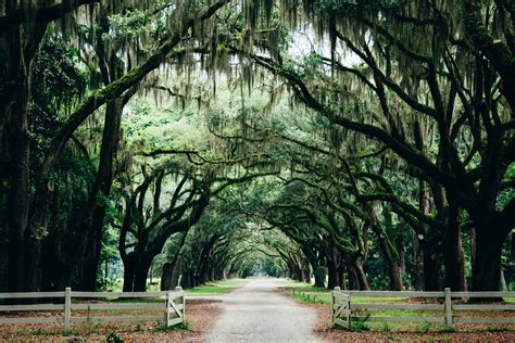 Savannah Botanical Gardens: Everything You Need To Know