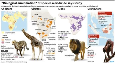 Extinction Events On Earth Timeline - The Earth Images Revimage.Org