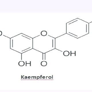 (PDF) Protective Role of Kaempferol Against Acrylamide Intoxication