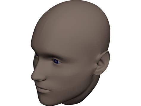 Human Head 3D CAD Model - 3D CAD Browser