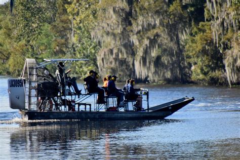 Swamp Scenery | See An Authentic Swamp Tour | Airboat Adventures