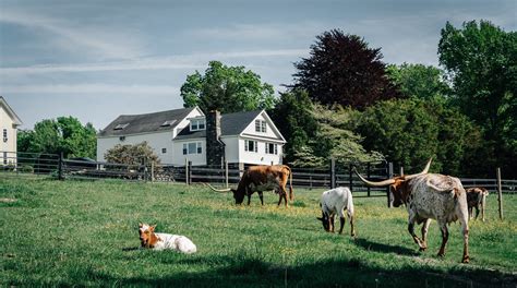 Mystic Countryside Farm, United States | Plum Guide