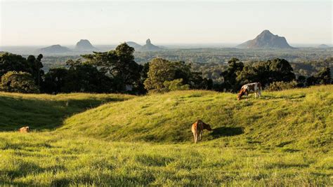 Best Experiences and Things to do - Sunshine Coast Hinterland