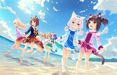 Water, Beach, Girls, Summer, Nekopara, summer anime girls HD wallpaper ...