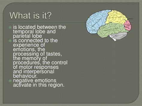 The Insular Cortex