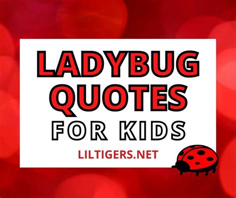 40 Best Ladybug Quotes for Kids - Lil Tigers