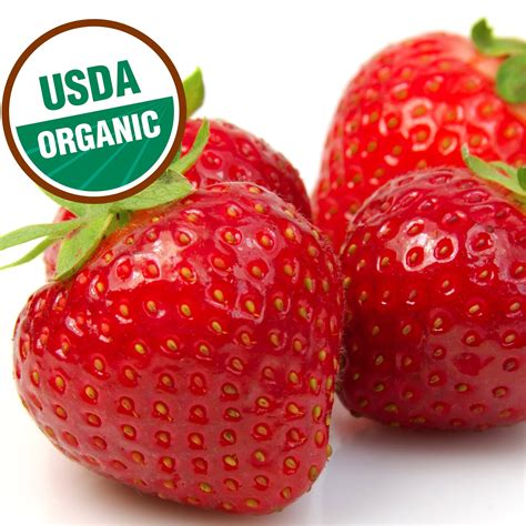 Fresh Frozen Organic Heirloom Strawberries – Northwest Wild Foods | Raw ...