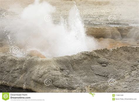 Steaming Geyser Vents at Fountain Paint Pots in Yellowstone National ...