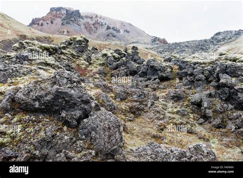 Lava vegetation hi-res stock photography and images - Alamy