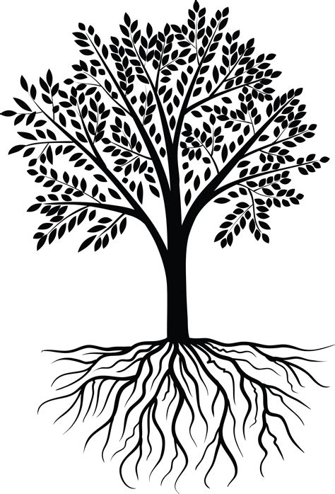 Tree Vector Black White Designs HD Wallpapers