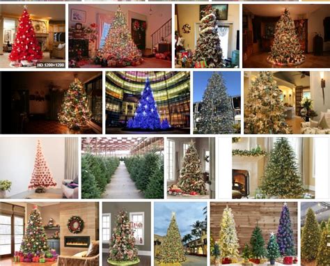 Big Lots Christmas Trees **2021 | Tree Types