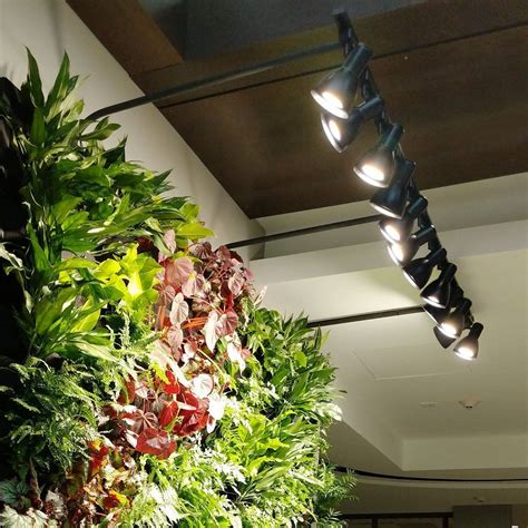 Lighting Guide for Living Walls – Plants On Walls Large Vertical Garden ...