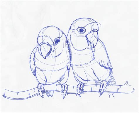 Bird Drawing Simple at GetDrawings | Free download