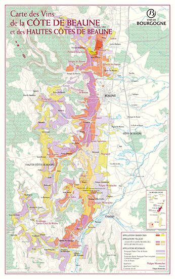 Professional access - CÔTE AND HAUTES CÔTES DE BEAUNE MAP 44 X 70 CM ...