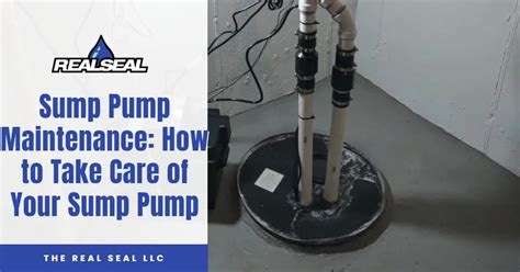 Sump Pump Maintenance: How to Take Care of Your Sump Pump