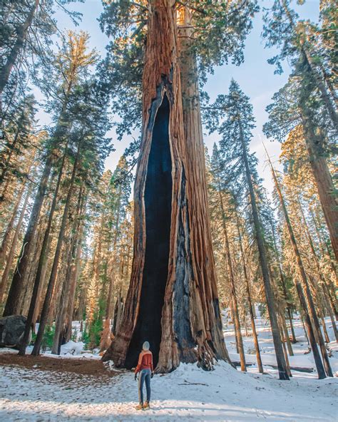 Visiting Kings Canyon & Sequoia National Park in Winter - Lita of the Pack