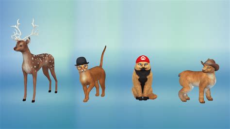 Sims 4 Cats and Dogs CC 2 – StutterGuy | Sims 4 pets, Dog cat, Sims 4