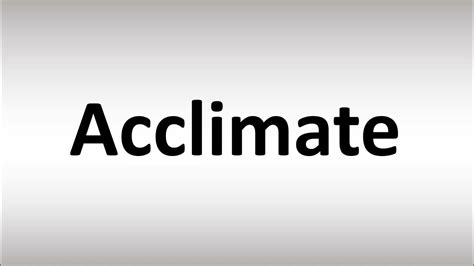 How to Pronounce Acclimate - YouTube