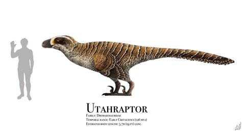 Utahraptor by https://www.deviantart.com/prehistorybyliam on ...