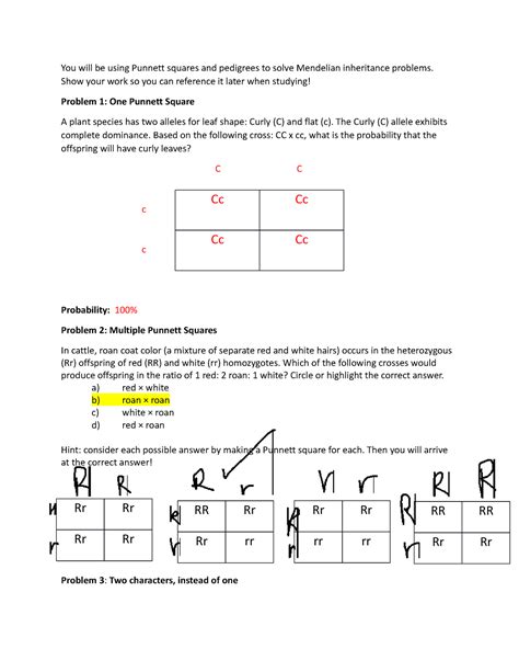 Using Punnett Squares and Pedigrees for Mendelian Inheritance - Studocu