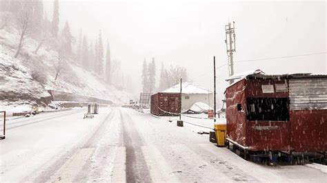 In Pics: Manali Receives Fresh Snowfall