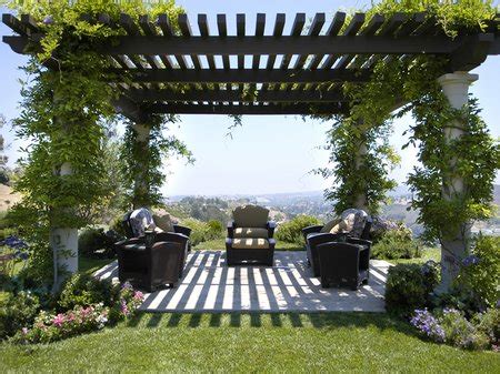 Pergola: A Beautiful Addition To Your Garden