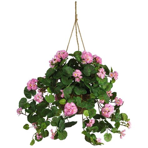 Hanging Plant Pots Home Depot - Garden Plant