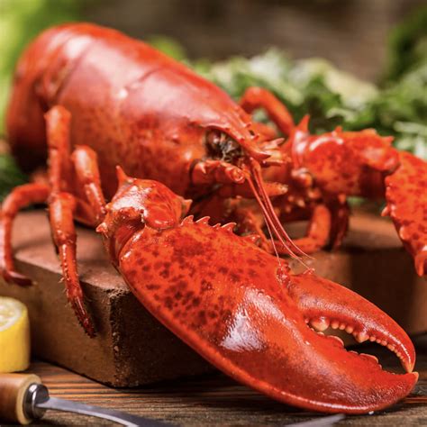 The Best Lobster Delivery Deals to Shop Online | Taste of Home