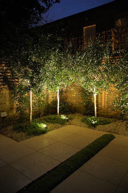 Contemporary architectural garden 7 copyright Light IQ Charlotte Rowe ...