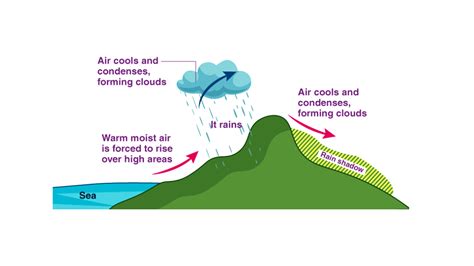 Draw a diagram of cyclonic rainfall.