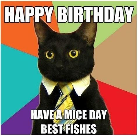 Happy Birthday From Business Cat | Business Cat | Know Your Meme