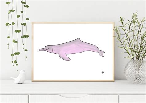 Amazon River Dolphin Boto Hand Drawn Print Marine Life Wall | Etsy