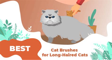 The 10 Best Cat Brushes For Long-Haired Cats - LOL Cats