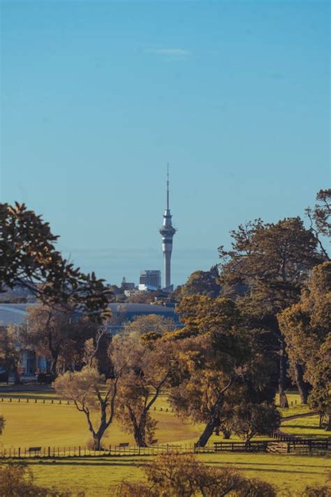 Auckland Sky Tower Photos, Download The BEST Free Auckland Sky Tower ...