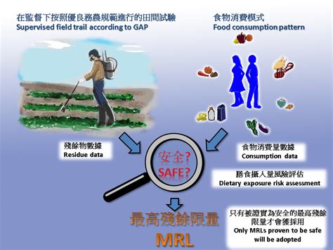 Pesticide Residues in Vegetables