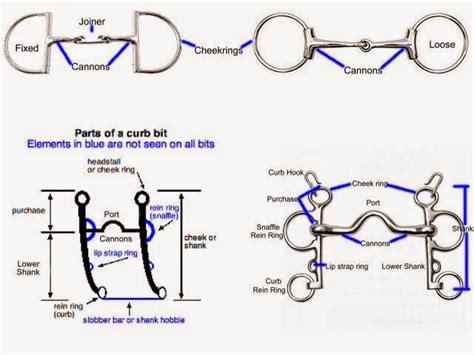 Horse Bit Severity Chart