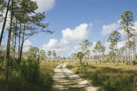 Hiking The Everglades Trails and Photographing Its Beautiful Environment